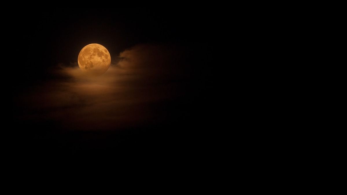 What Your Moon Sign Really Reveals About Your Emotional World