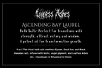 Ascending Bay Laurel - Bath Salt for strength, transitions & transformative growth