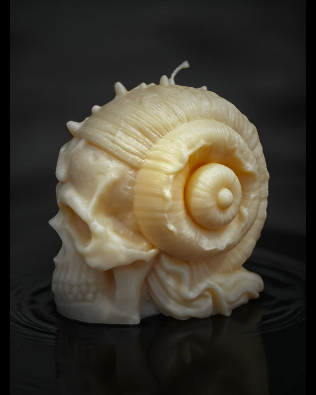 Ram Horn Skull Pillar Candle with Star Design (Unscented) (Unscented)