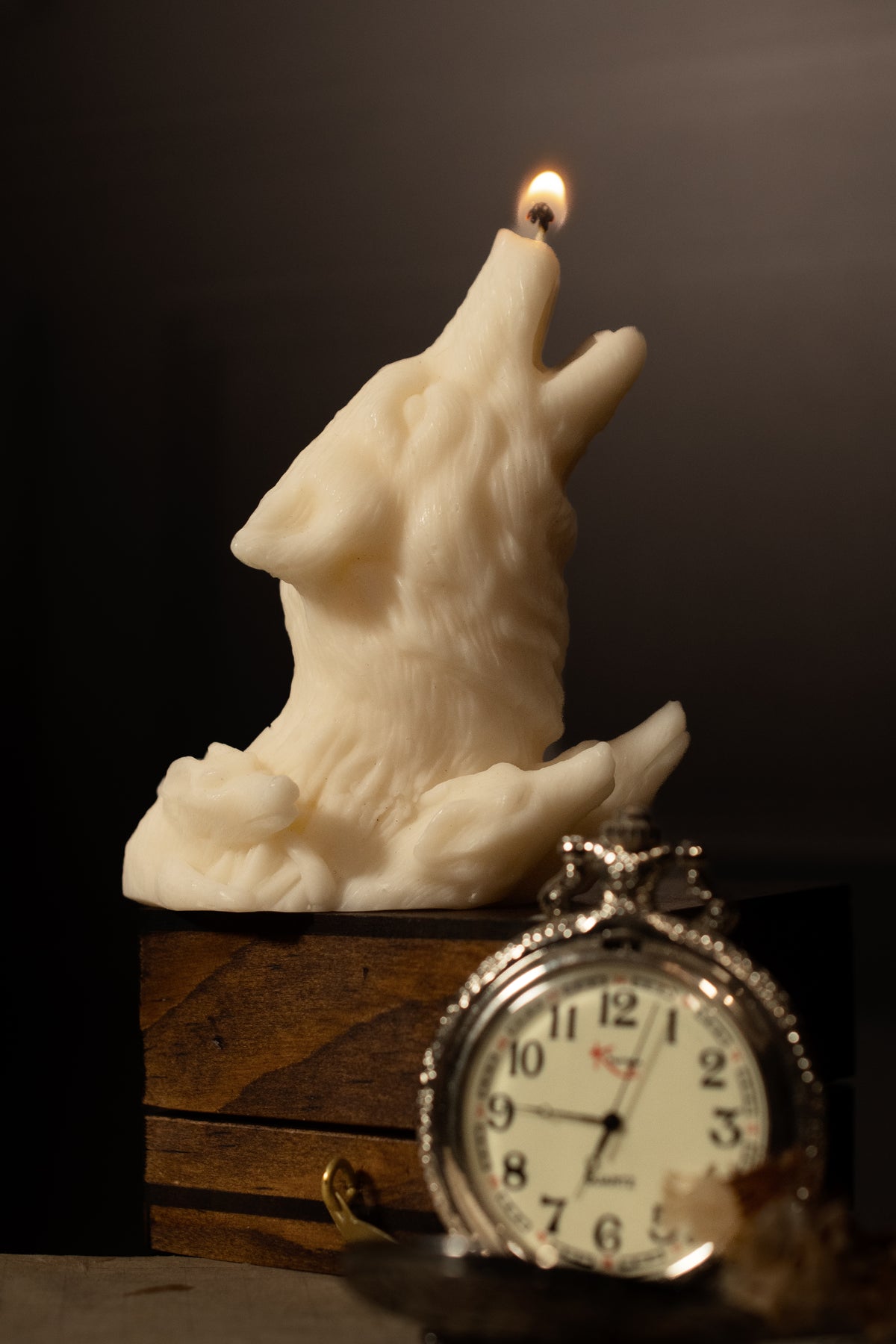 Animal Candles