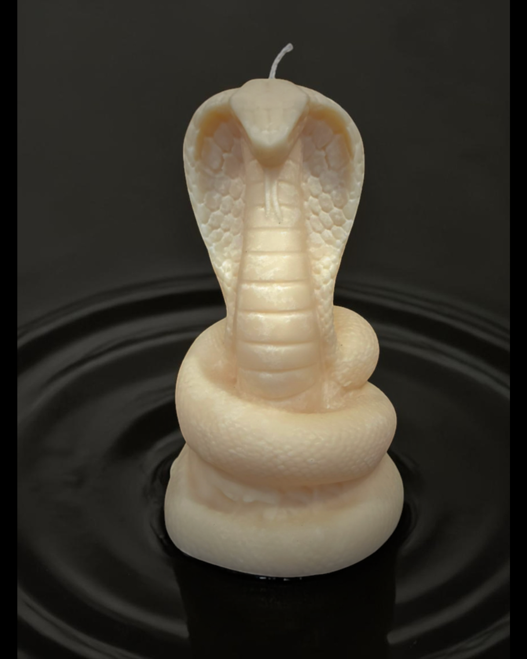 Cobra Snake Pillar Candle (Unscented) (Unscented)