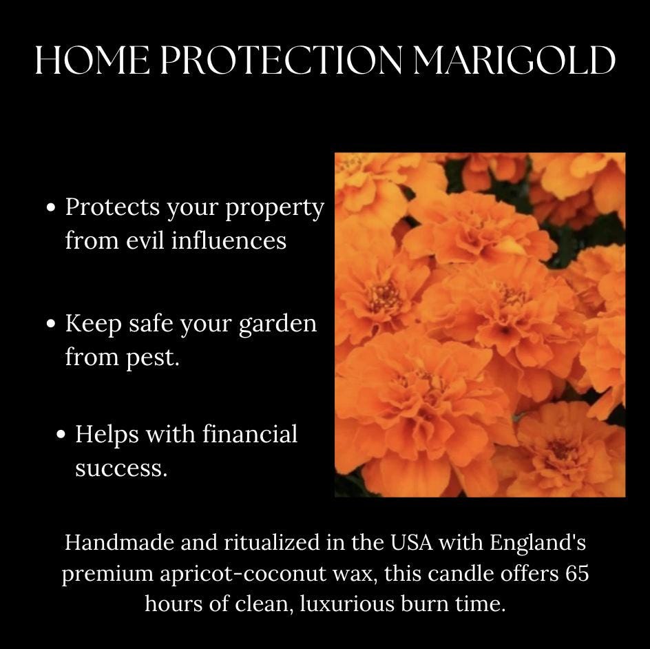 Hex Protection & Abundance Ritual Candle – Warding Off Evil and Attracting Wealth