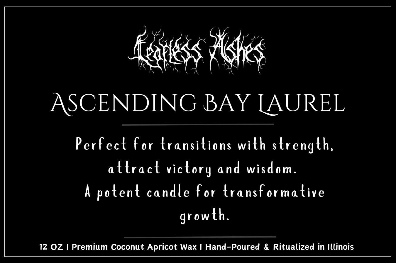 Strength and Transition Candle for Life Changes and Focus