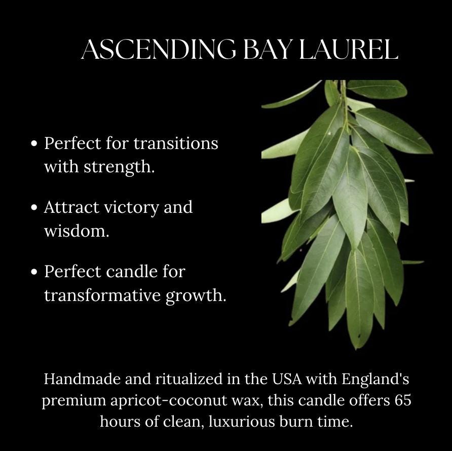 Strength and Transition Candle for Life Changes and Focus