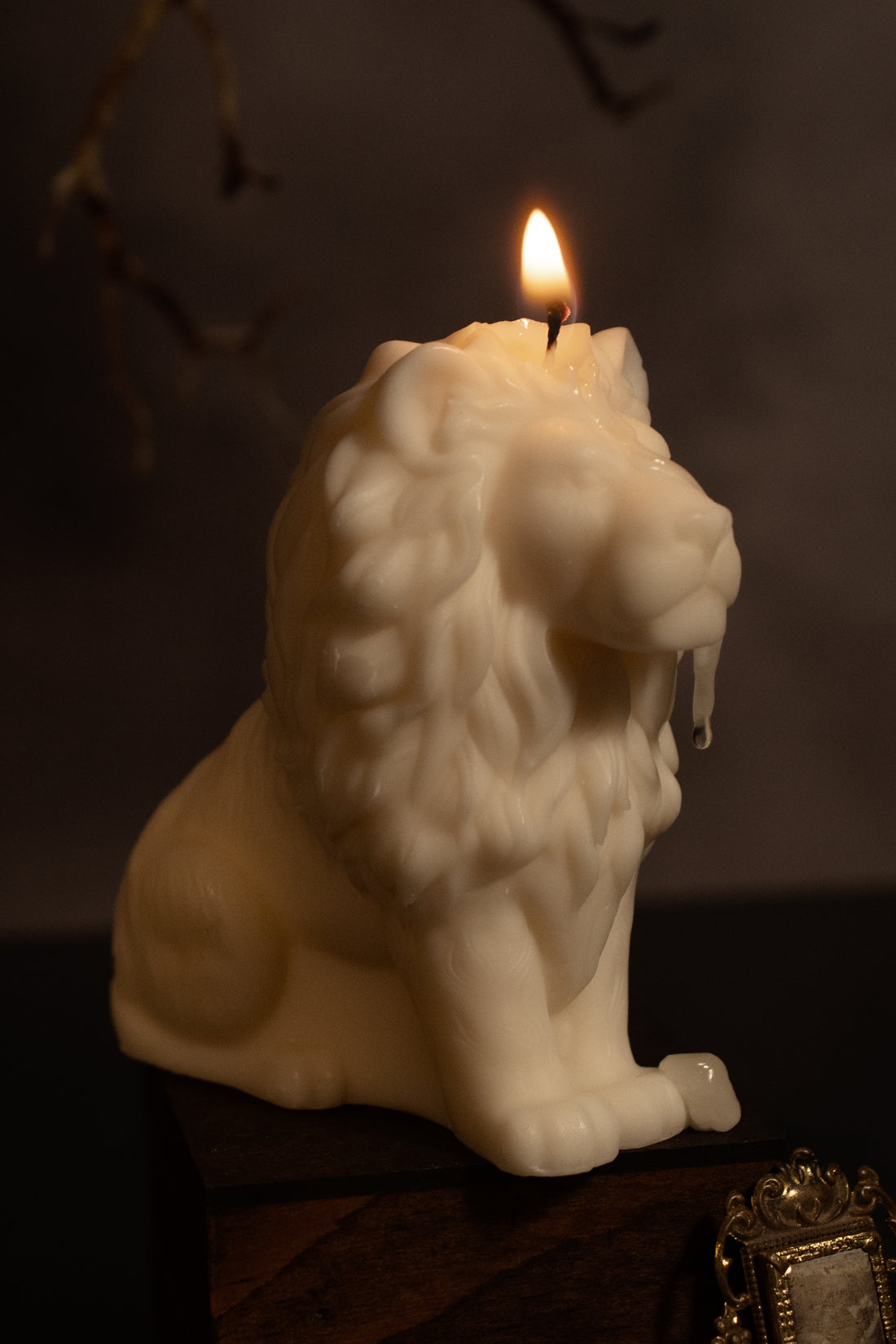 Lion Head
