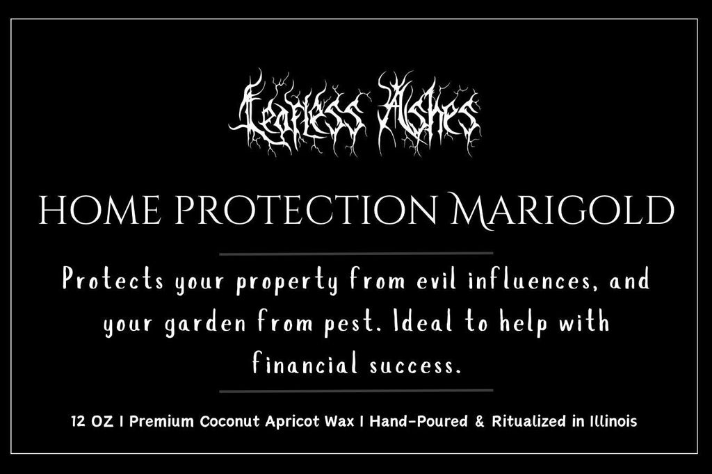 Hex Protection & Abundance Ritual Candle – Warding Off Evil and Attracting Wealth