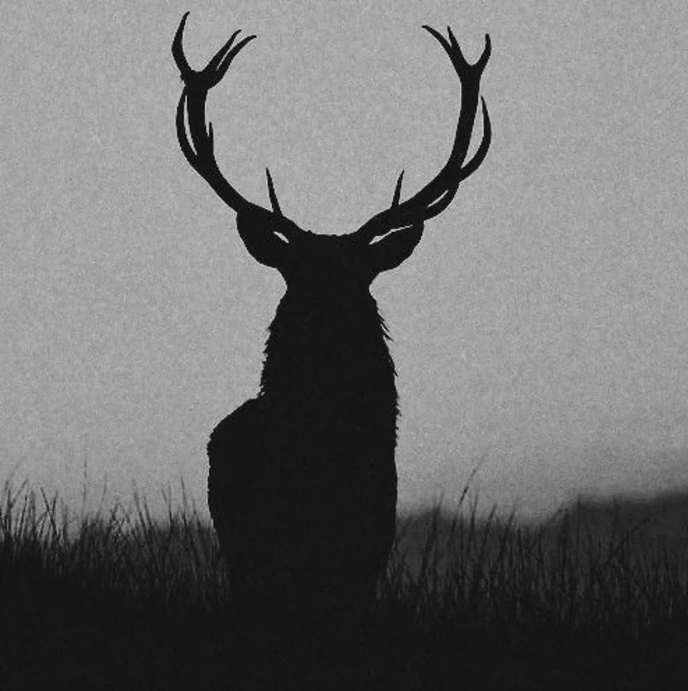 Spirit Animal - Animal Totem | Reading | PDF Results